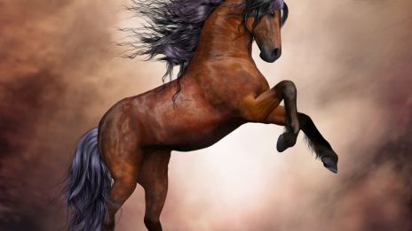 Eldhästens nystart: Vad vi kan vänta oss av 2026